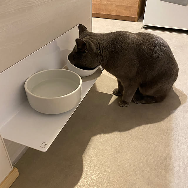 hachiさんの部屋