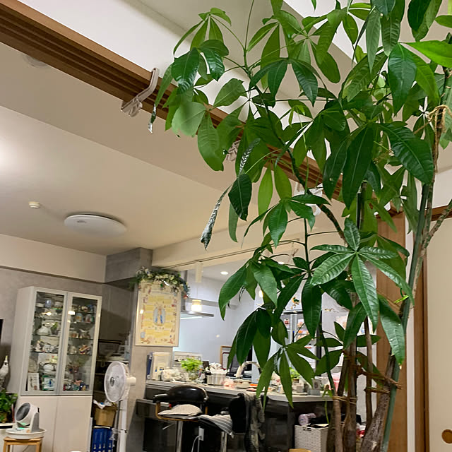 Aqettyさんの部屋
