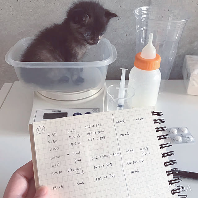 Hotateさんの実例写真