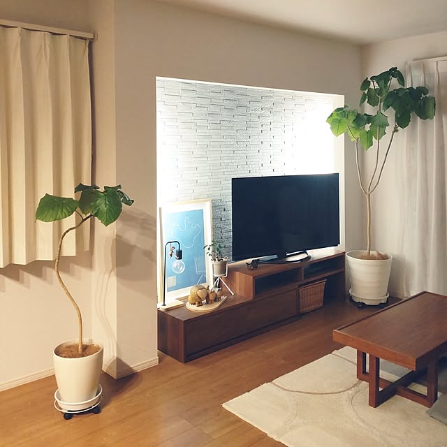 tan5さんの実例写真