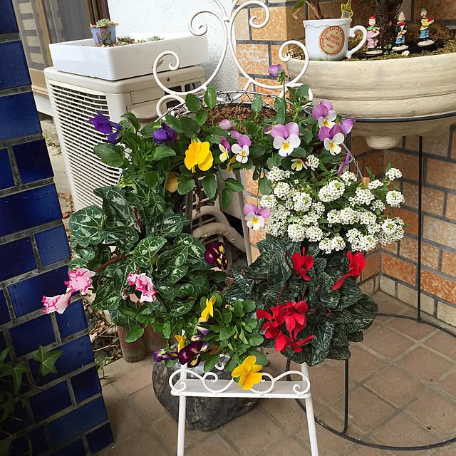 tarohagiharaさんの実例写真