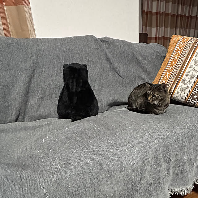 yunyumさんの部屋