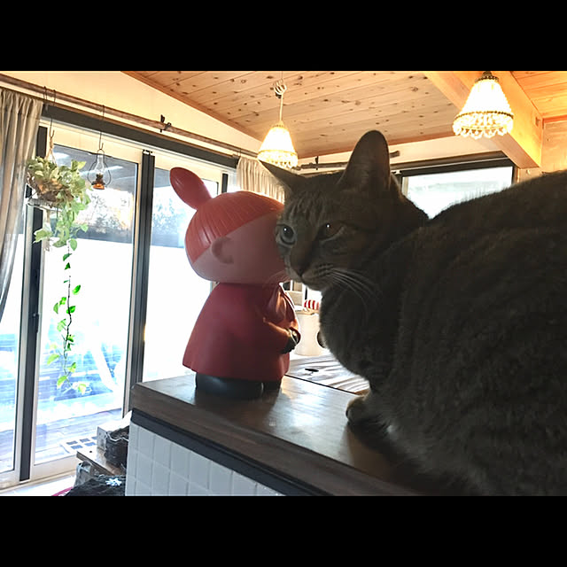 marusanさんの実例写真