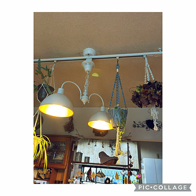 CoCo0617さんの部屋