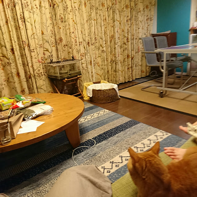 okyosan101さんの実例写真
