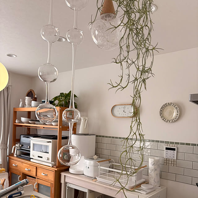 safariさんの実例写真