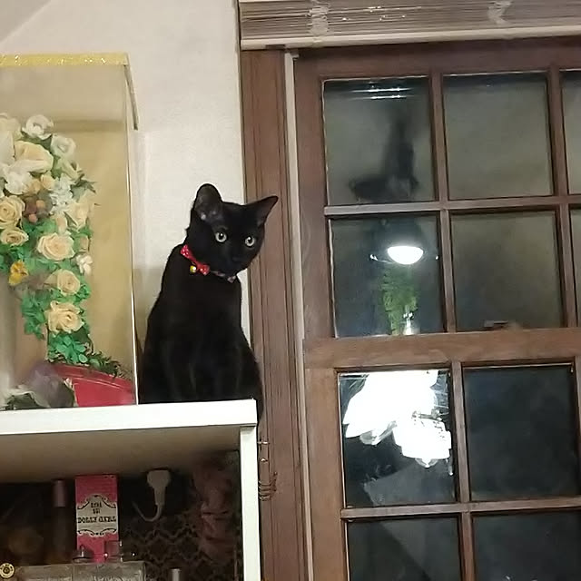 Tさんの実例写真