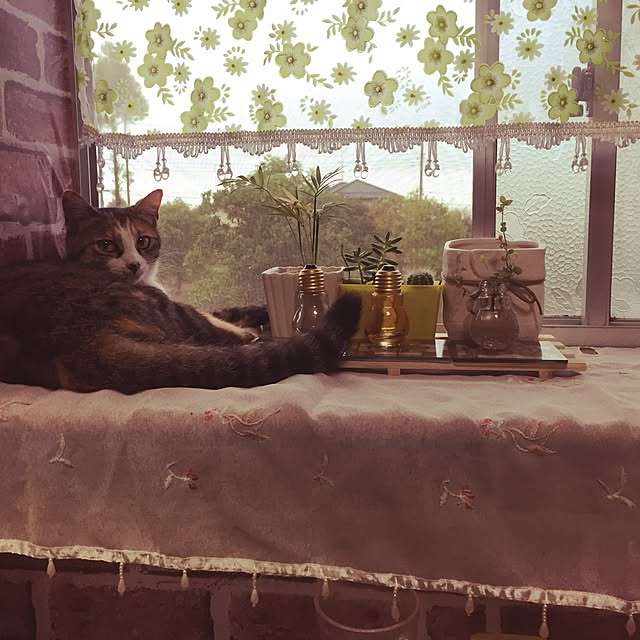 greenさんの実例写真