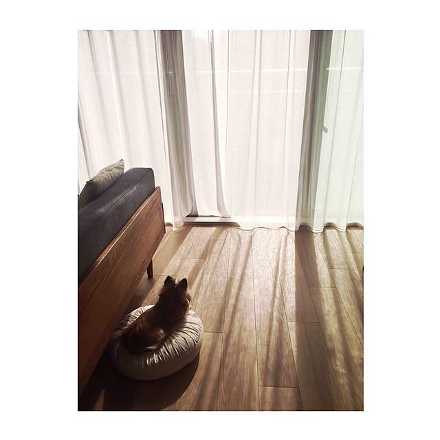 nicopiiiiiさんの実例写真