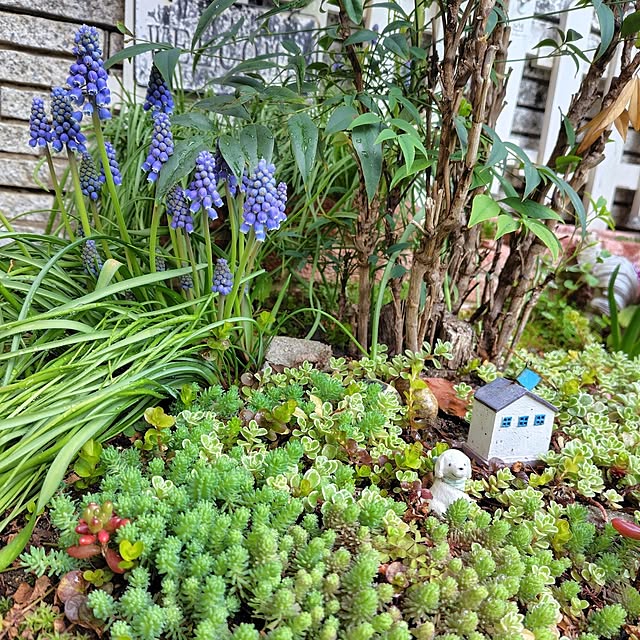 25Moondropsさんの部屋