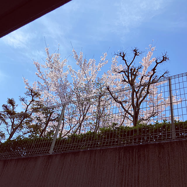 mikanさんの実例写真