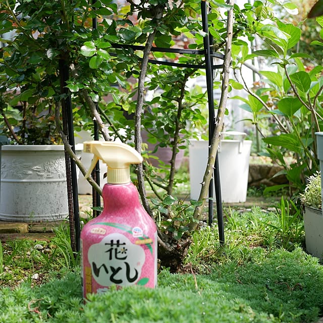 moku2さんの部屋