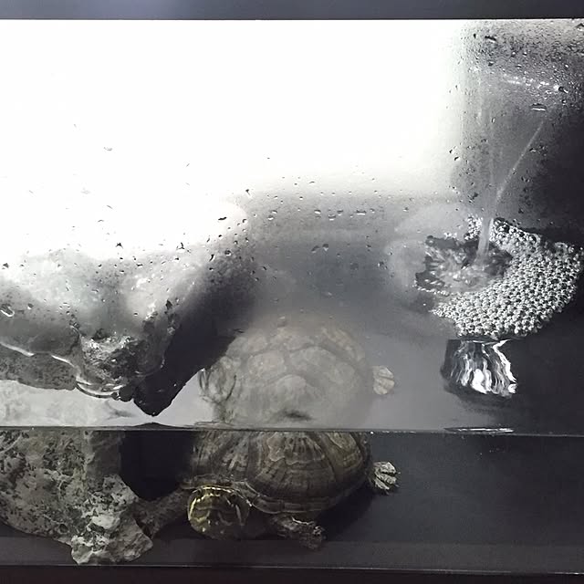Kazuyaさんの実例写真