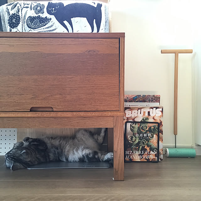mikomaruさんの実例写真