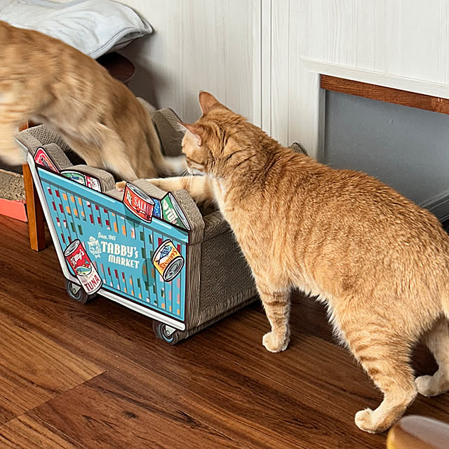 mikeume7さんの部屋