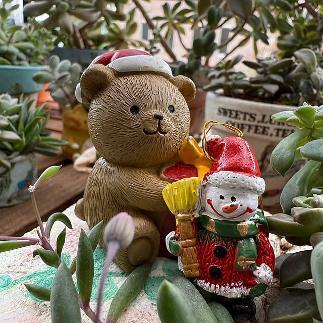 Aqettyさんの部屋