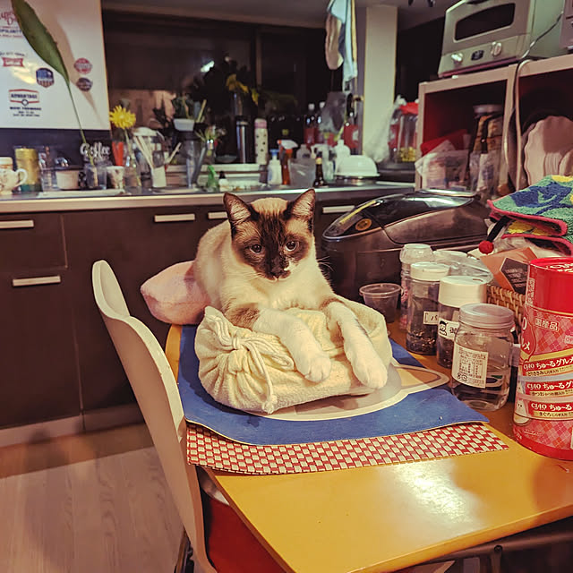 uchizukonyanさんの実例写真