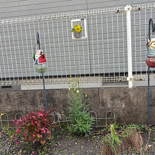 chIoeさんの実例写真