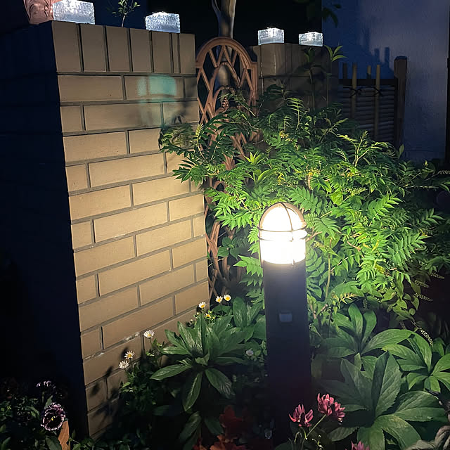 mamizaさんの部屋