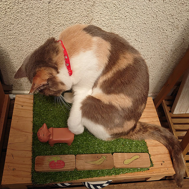 fukuさんの実例写真