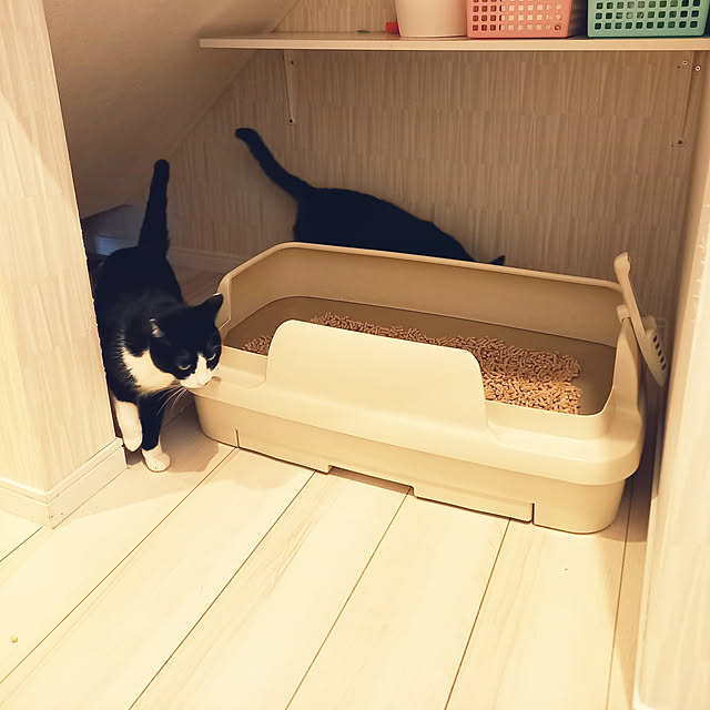 shiiiさんの実例写真