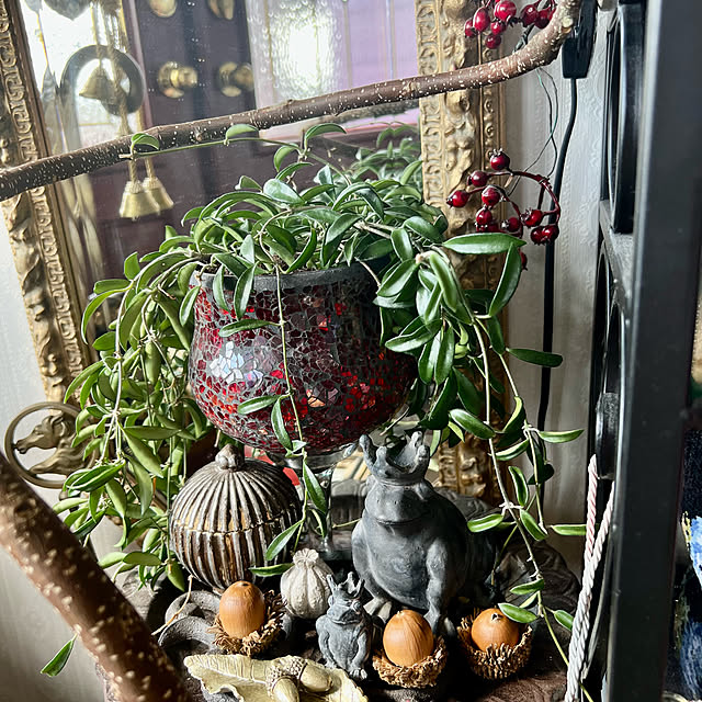 AYUKOさんの実例写真