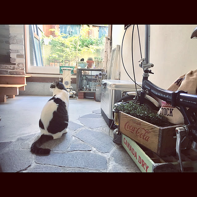 marusanさんの実例写真