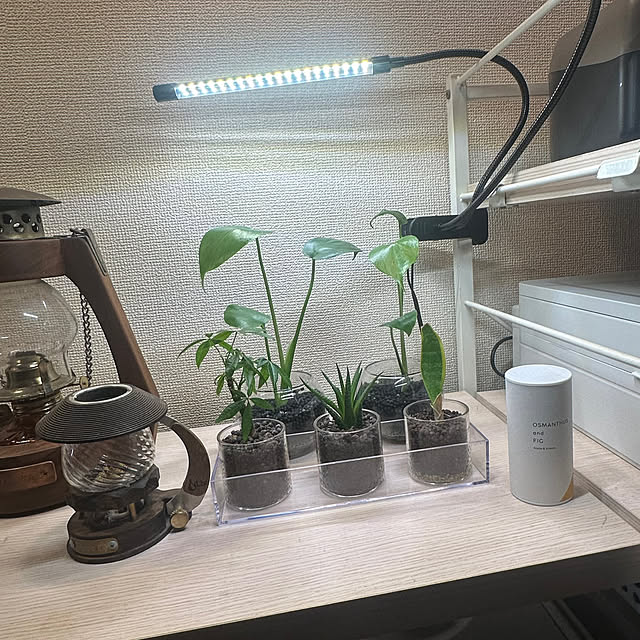 ayu_さんの部屋