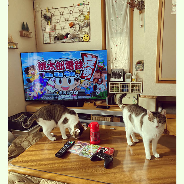 Lufuさんの実例写真