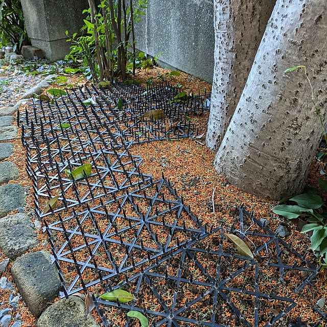 Renさんの部屋