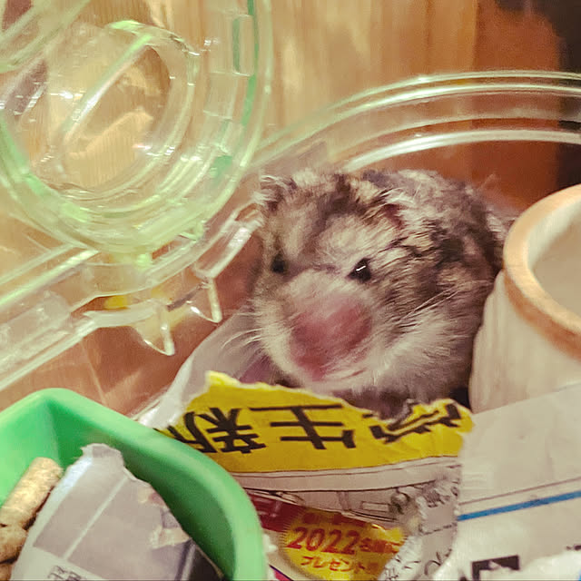 Arataさんの実例写真