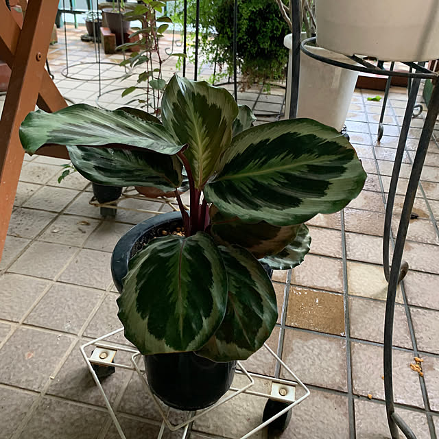 Aqettyさんの部屋