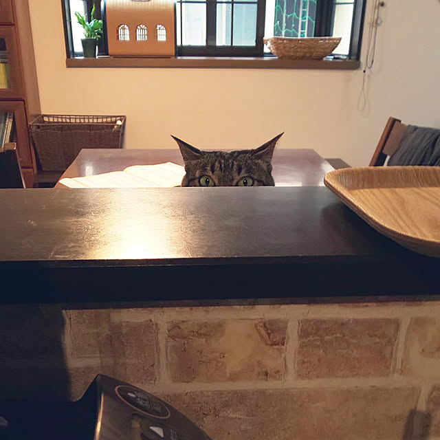 komugiさんの実例写真