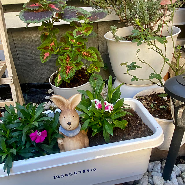 YuuKoさんの部屋