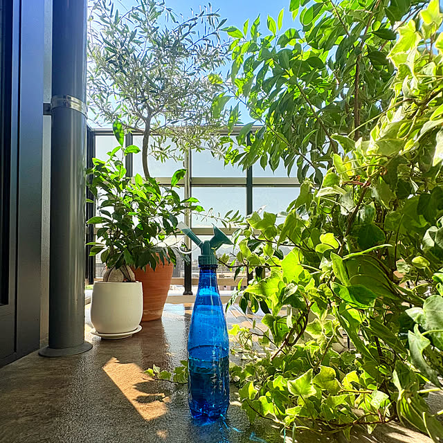 up0524さんの実例写真