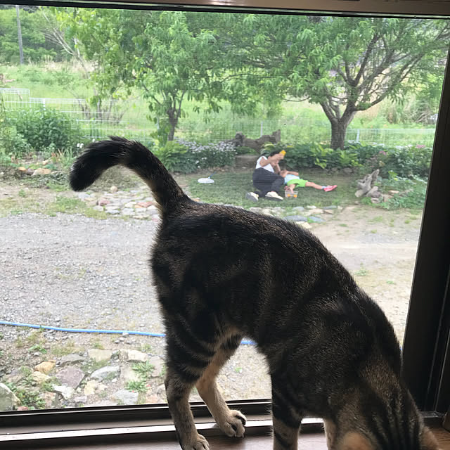 pepeさんの実例写真