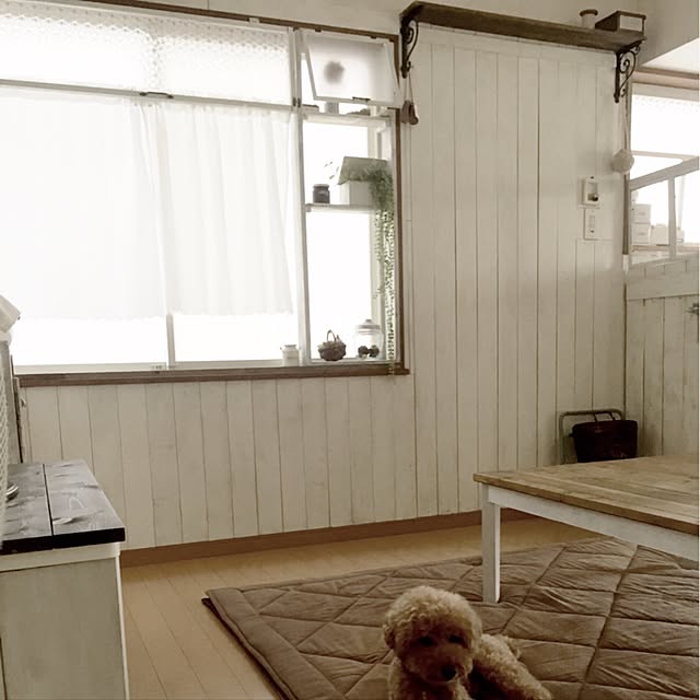 rookuさんの実例写真