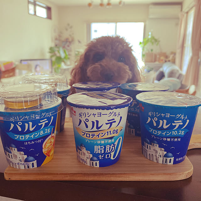 alchoさんの実例写真