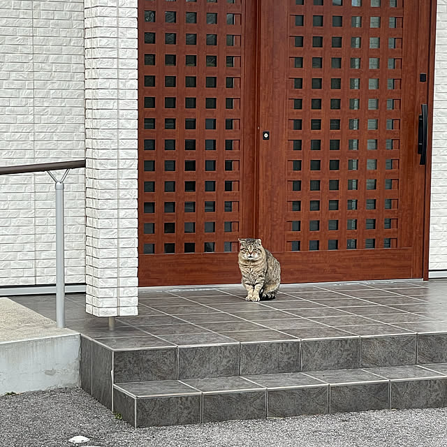 Dahliaさんの実例写真