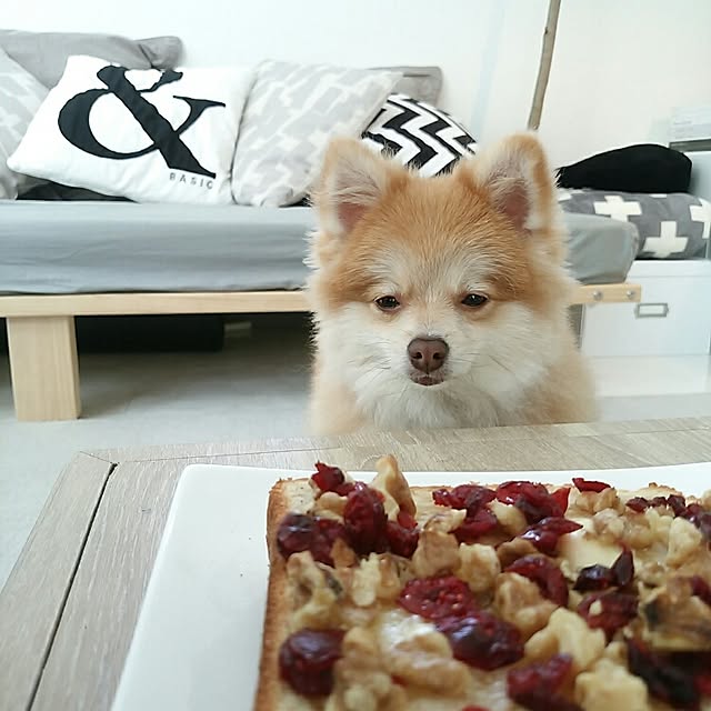 mi-さんの実例写真