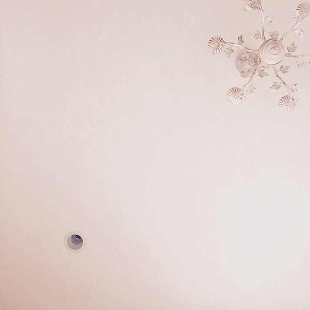 Anneさんの実例写真