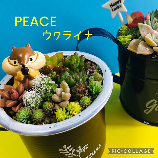 nacchi4さんの実例写真