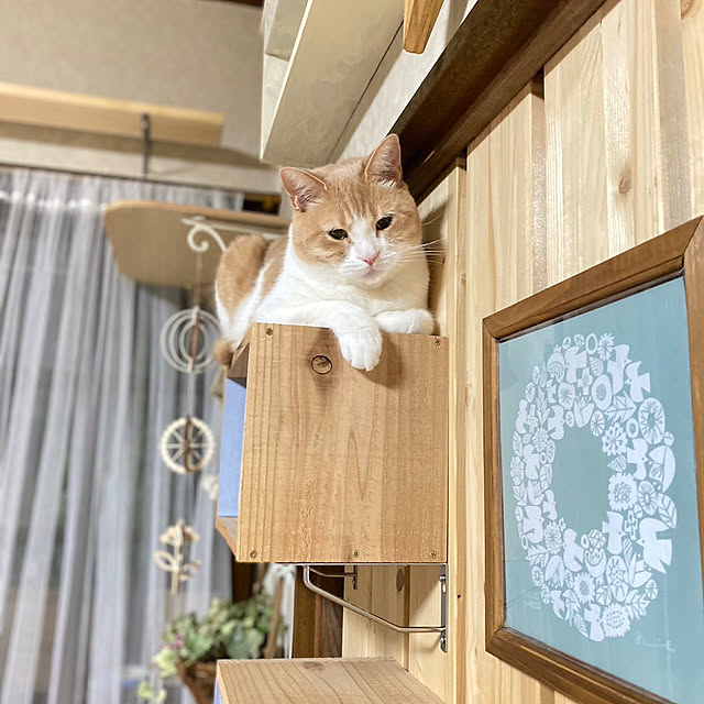 mintteaさんの実例写真