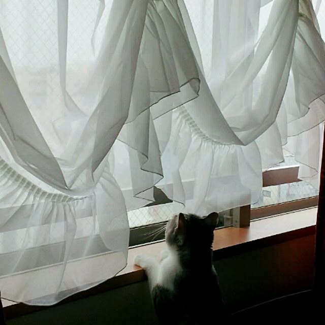 emmyyさんの実例写真