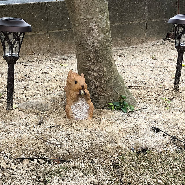 akkyさんの実例写真