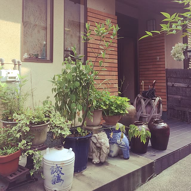 pompomさんの実例写真