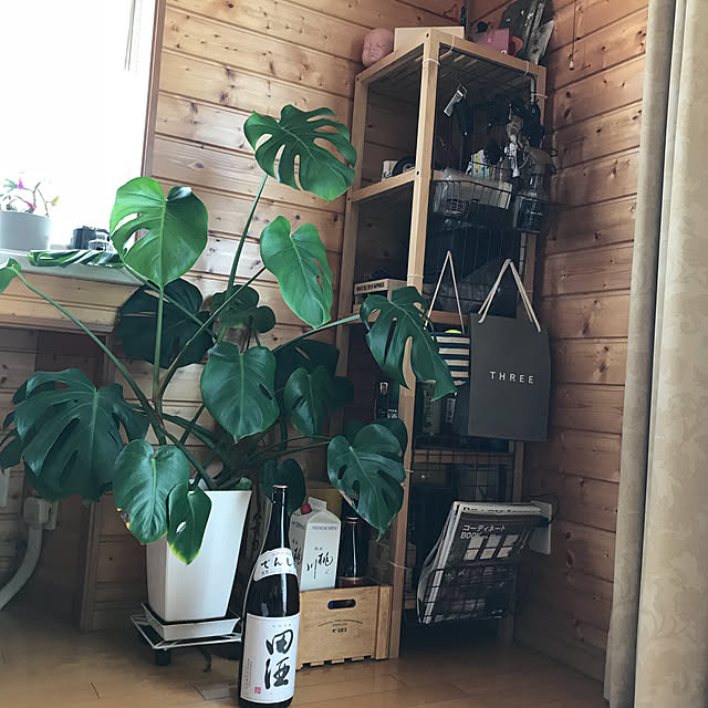 Emiさんの実例写真