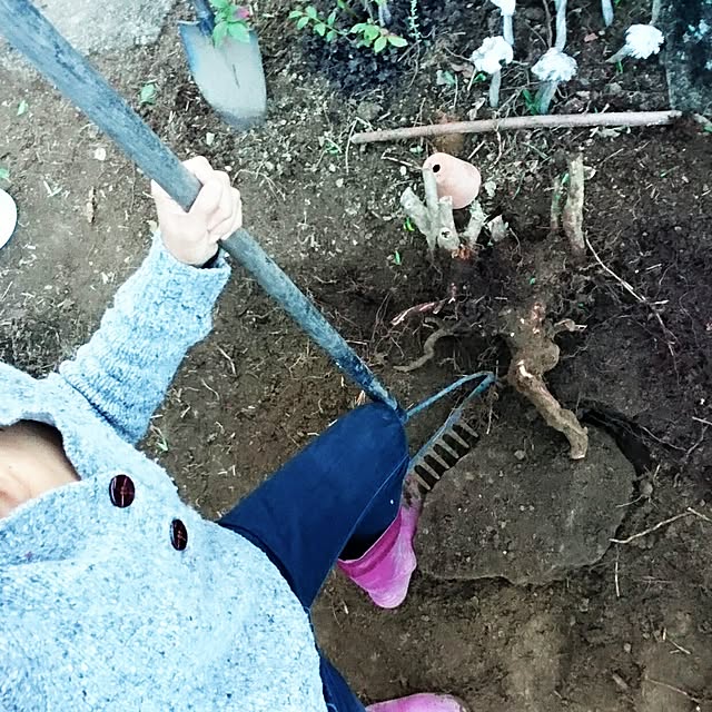 weさんの実例写真