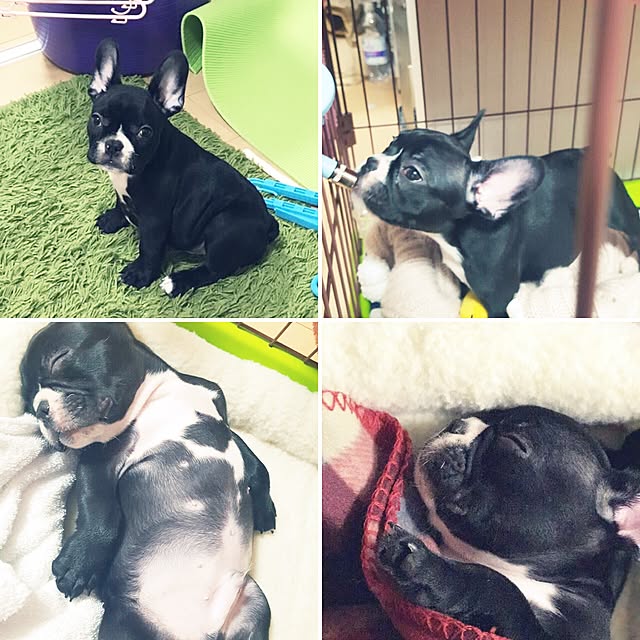 masaさんの実例写真