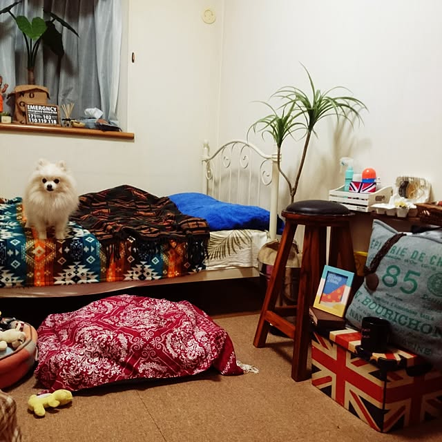 yukaさんの実例写真